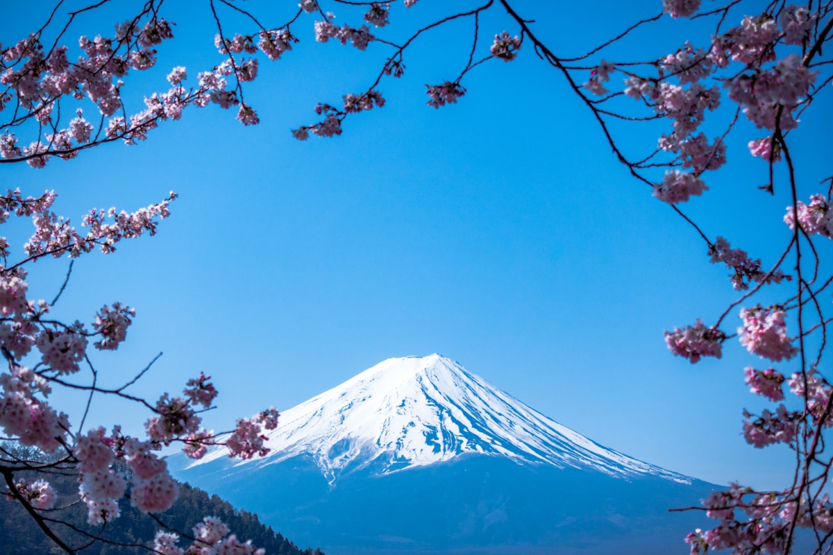 緑の稜線